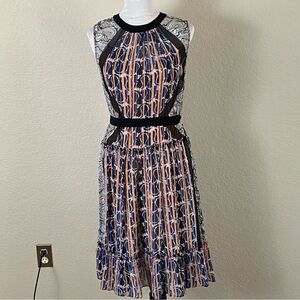 BCBG Max Azria Sheer Dress
